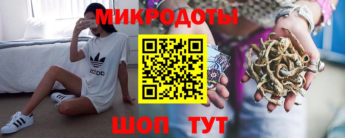 Псилоцибиновые грибы Cubensis  Вход с VPN  что такое наркотик  Алатырь 